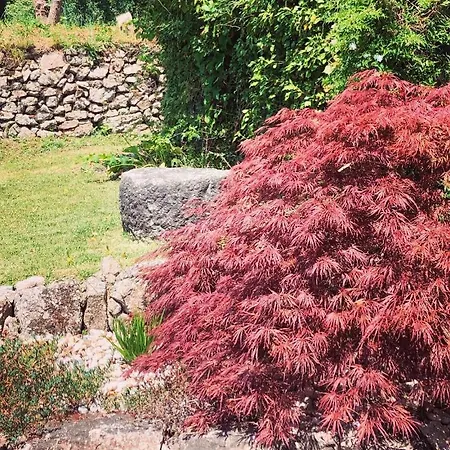 Quinta Da Ribeira Понте-де-Лима