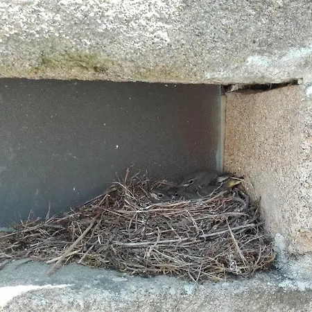 Quinta Da Ribeira Σπίτι διακοπών Ponte de Lima