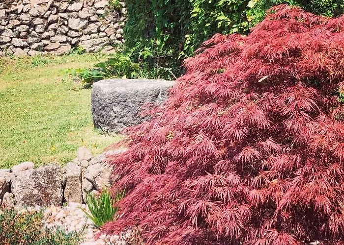 Quinta Da Ribeira ポンテ・デ・リマ