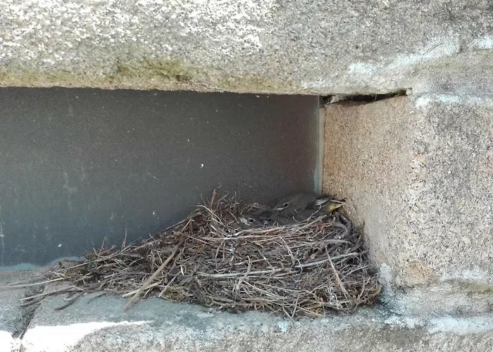 Quinta Da Ribeira Holiday home Ponte de Lima